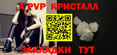 дурь Кингисепп