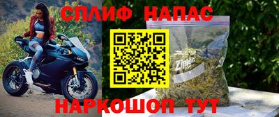 дурь Кингисепп